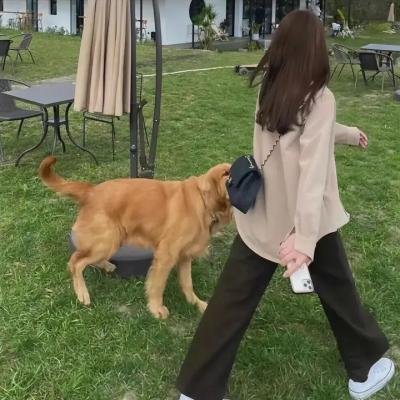 砸掉你的牙